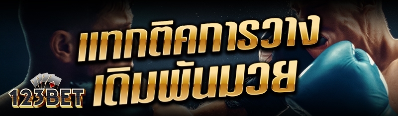 แทกติคการวางเดิมพันมวย